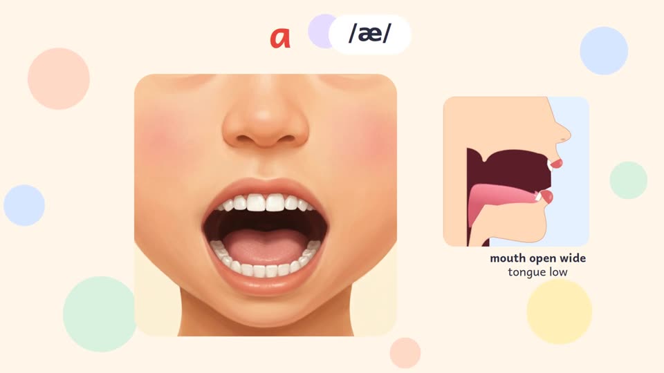 입모양 영상 · a /æ/